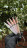 NAIL REPUBLIC   Гель-лак однофазный   10мл   ONE STEP NUDE   #014